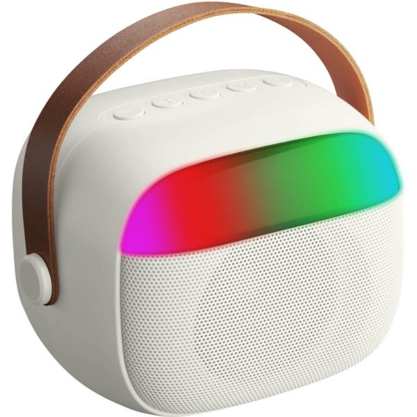 MINI KARAOKE CON MICROFONO WIRELESS